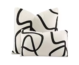 Modern Abstract Pillow Covers